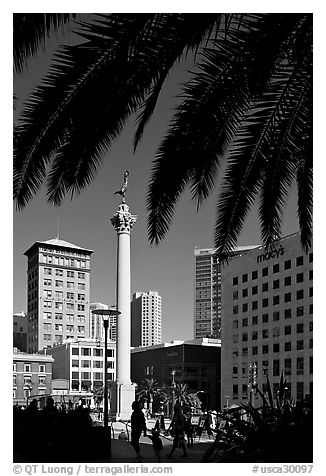 Union square and column framed by palm trees, afternoon. San Francisco, California, USA (black and white)