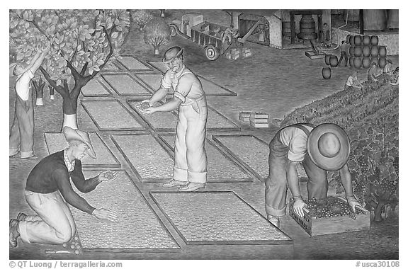 Harvest scene depicted in a fresco inside Coit Tower. San Francisco, California, USA (black and white)