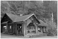 Visitor center, late afternoon. Big Basin Redwoods State Park,  California, USA ( black and white)
