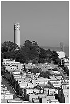 Houses on  Telegraph Hill and Coit Tower, afternoon. San Francisco, California, USA (black and white)