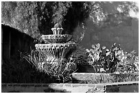 Fountain and cacti, Mission San Miguel Arcangel. California, USA (black and white)