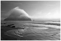 Morro Rock and fog reflected on beach. Morro Bay, USA (black and white)