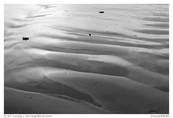 Ripples and wet sand on beach. Morro Bay, USA
