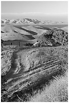 Golden hills and San Luis Reservoir. California, USA ( black and white)