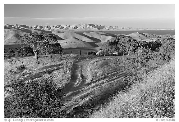 Rural path amongst oak and golden hills, San Luis Reservoir State Rec Area. California, USA (black and white)