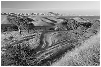 Rural path amongst oak and golden hills, San Luis Reservoir State Rec Area. California, USA ( black and white)