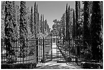 Gates, cypress and path, Villa Montalvo. Saragota,  California, USA (black and white)