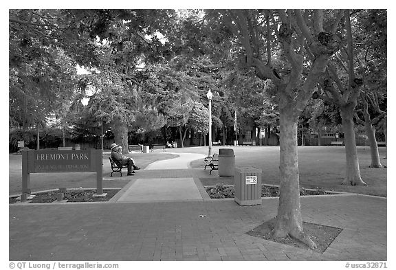 Freemont Park. Menlo Park,  California, USA (black and white)