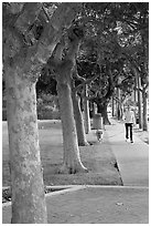 Woman walking her dog. Menlo Park,  California, USA ( black and white)