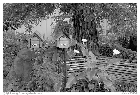 Mailboxes and front yard in a residential neighborhood. Menlo Park,  California, USA (black and white)