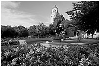 Hoover Tower and bed of roses, late afternoon. Stanford University, California, USA ( black and white)