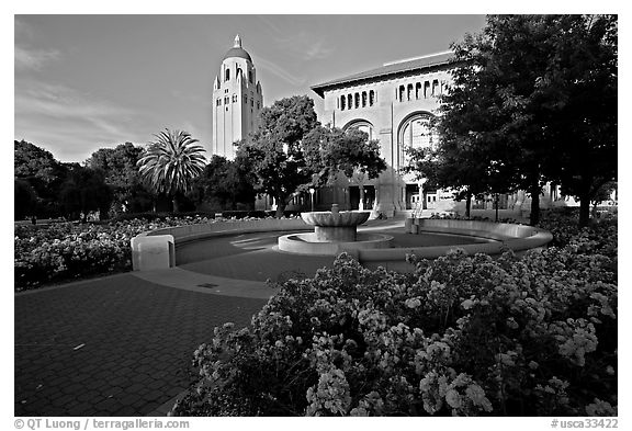 Bing Wing of Green Library and Hoover Tower,  late afternoon. Stanford University, California, USA