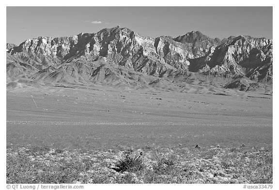 Providence Mountains. Mojave National Preserve, California, USA (black and white)