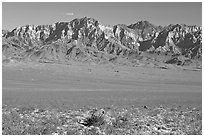 Providence Mountains. Mojave National Preserve, California, USA ( black and white)