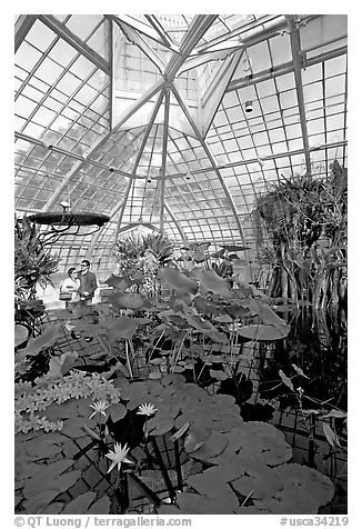 Aquatic plants section inside the Conservatory of Flowers. San Francisco, California, USA