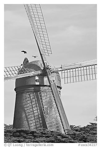 Dutch Mill. San Francisco, California, USA (black and white)