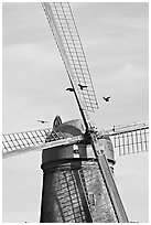 Crows and Dutch Mill. San Francisco, California, USA ( black and white)