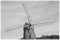 Dutch Mill and crows. San Francisco, California, USA (black and white)
