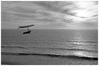 Hang gliding above the ocean at sunset,  Fort Funston. San Francisco, California, USA (black and white)