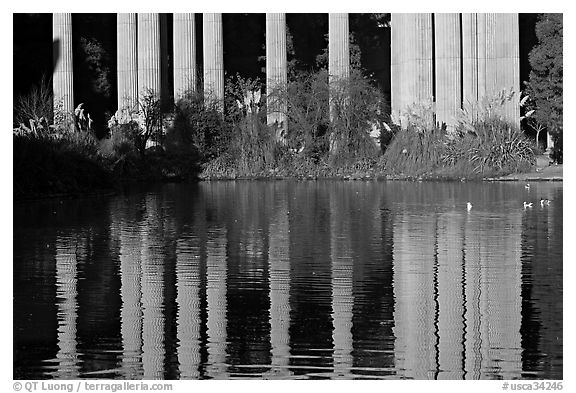 Reflection of colonade, Palace of Fine Arts, morning. San Francisco, California, USA (black and white)