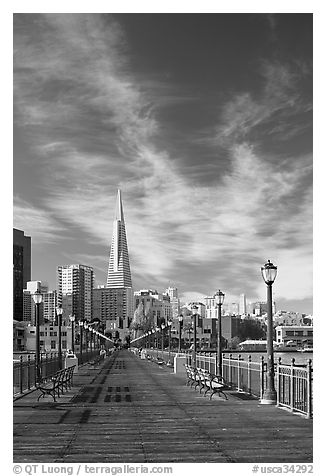 Wooden pier and Transamerica Pyramid, morning. San Francisco, California, USA (black and white)