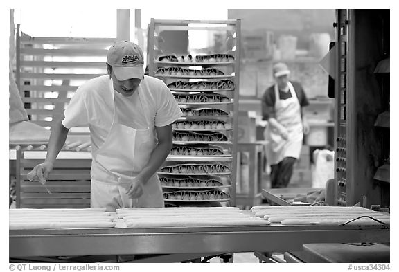 Baker hand-coating lofs of bread. San Francisco, California, USA (black and white)