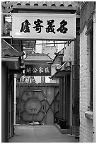 Narrow alley in Chinatown. San Francisco, California, USA (black and white)