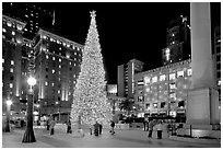 Christmas tree on Union Square at night. San Francisco, California, USA ( black and white)