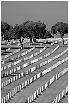 Fort Rosecrans National Cemetary, the third largest in the US. San Diego, California, USA ( black and white)