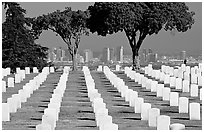 Rows of white gravestones and San Diego skyline, Point Loma. San Diego, California, USA (black and white)
