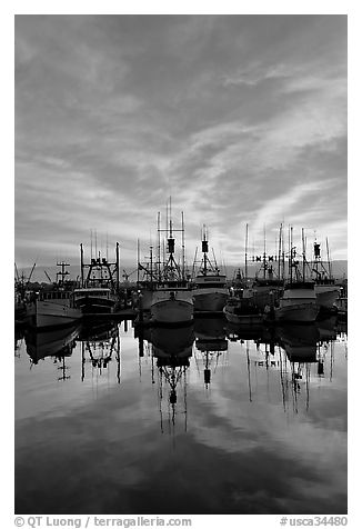 Fishing fleet at sunset. San Diego, California, USA (black and white)