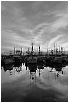 Fishing fleet at sunset. San Diego, California, USA (black and white)