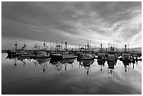 Fishing boats at sunset. San Diego, California, USA (black and white)