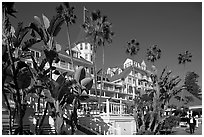 Del Coronado hotel framed by palm trees. San Diego, California, USA (black and white)