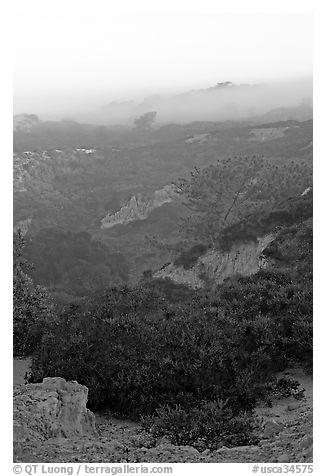 Ridges and fog and sunrise,  Torrey Pines State Preserve. La Jolla, San Diego, California, USA (black and white)