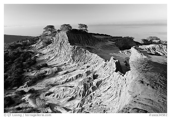 Broken Hill and Ocean,  Torrey Pines State Preserve. La Jolla, San Diego, California, USA (black and white)