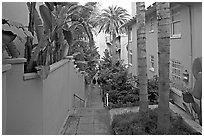 Narrow Alley. La Jolla, San Diego, California, USA (black and white)