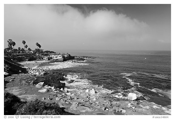 San Jolla Cove and seabirds. La Jolla, San Diego, California, USA (black and white)