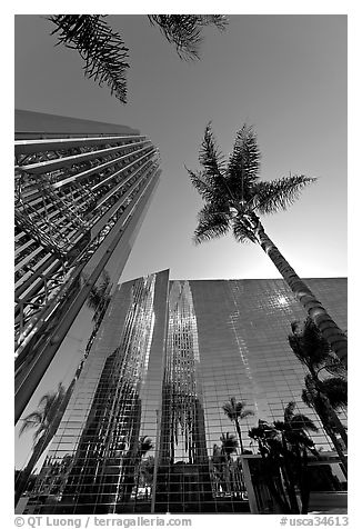 Looking upwards the Crystal Cathedral, with sun shining through the building. Garden Grove, Orange County, California, USA (black and white)