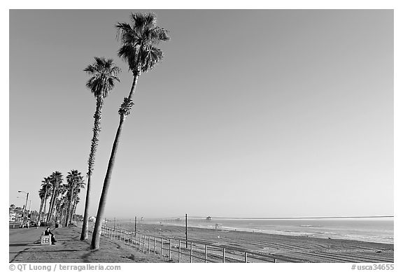 Tall palm trees, waterfront promenade, and beach. Huntington Beach, Orange County, California, USA