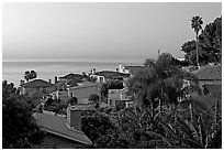 Villas and mediterranean vegetation at dawn. Laguna Beach, Orange County, California, USA (black and white)