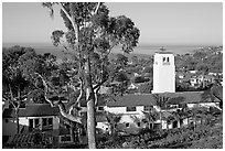Eucalyptus tree and church. Laguna Beach, Orange County, California, USA ( black and white)