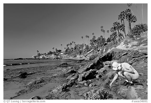 Women checking out a tidepool. Laguna Beach, Orange County, California, USA (black and white)