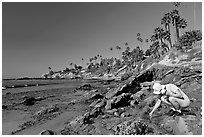 Women checking out a tidepool. Laguna Beach, Orange County, California, USA (black and white)