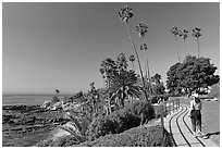 Woman jogging in Heisler Park, next to Ocean. Laguna Beach, Orange County, California, USA (black and white)