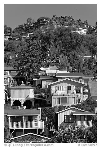 Houses on verdant hillside. Laguna Beach, Orange County, California, USA