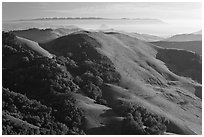 Green hills, with cost in the distance. Morro Bay, USA ( black and white)