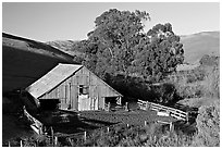 Barn and cattle-raising area. California, USA (black and white)