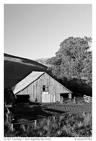 Old wooden barn. Morro Bay, USA (black and white)