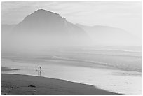 Couple and dog reflected in wet sand, with Morro Rock behind, sunset. Morro Bay, USA ( black and white)